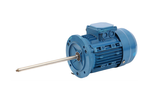 不銹鋼長(zhǎng)軸電機(jī)