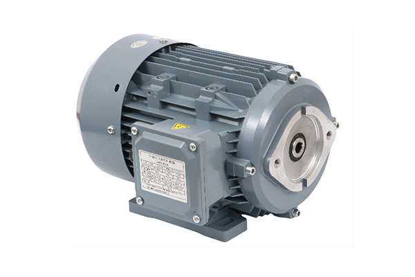 潤(rùn)滑泵專(zhuān)用電機(jī)