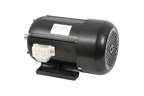 標(biāo)準(zhǔn)型電機(jī)